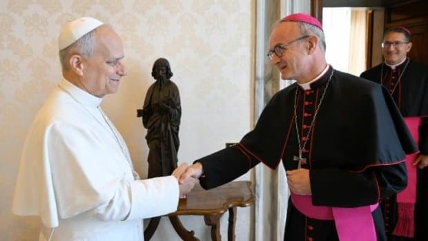Papa Leão XIV recebe novo presidente da Comissão para a Proteção dos Menores
