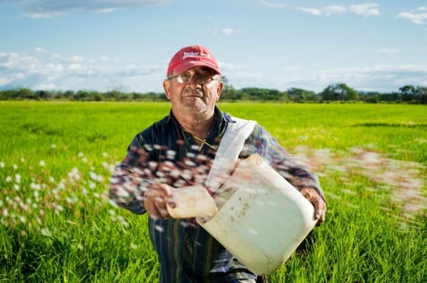 Por ocasião do Dia do Agricultor, bispo emérito agradece povo do campo, que alimenta a população e preserva a terra