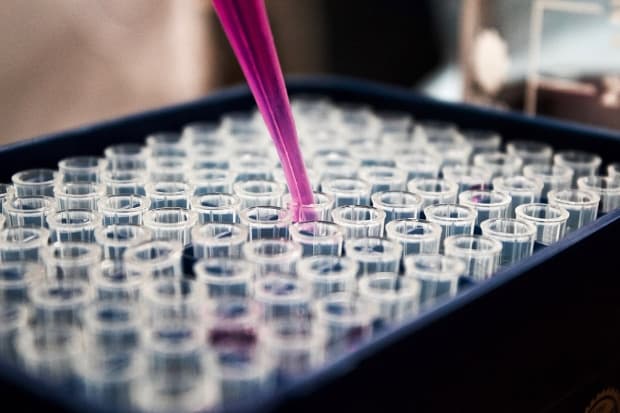 Vídeo do Papa: por uma resposta cristã aos desafios da bioética