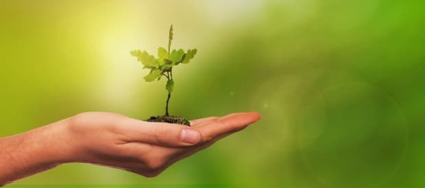 Semana Laudato Si 2021: Tudo que você precisa saber