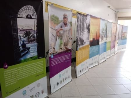Núcleo de ecologia da Diocese de Piracicaba promove eventos sobre a encíclica Laudato Si'
