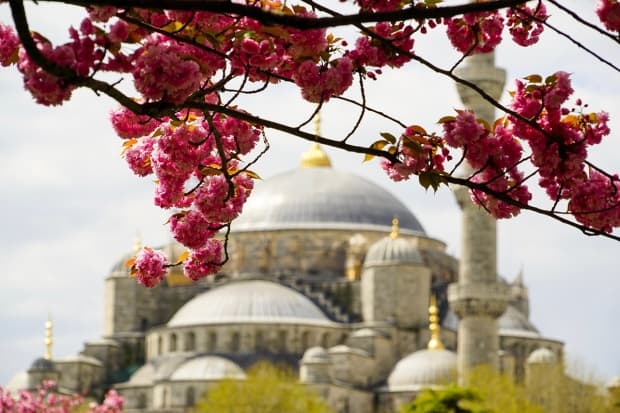 Católicos e ortodoxos se unem em Istambul para apoiar o futuro do planeta