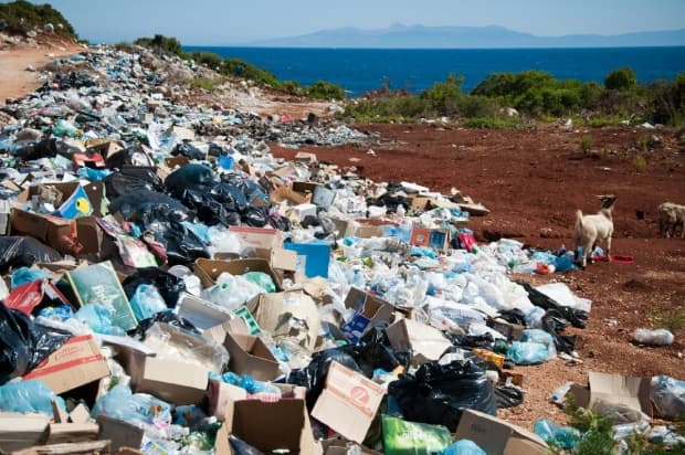 Evento discute ecologia integral e crise climática em Piracicaba no dia 13 de setembro
