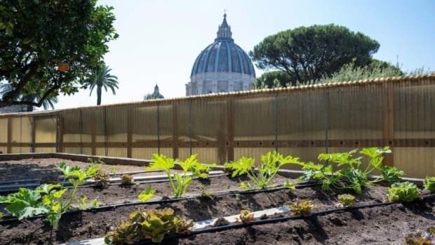 Horta do Papa nos Jardins Vaticanos está se tornando 100% orgânica