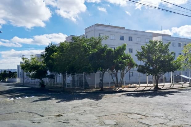 Pastoral Diocesana da Ecologia Integral incentiva arborização urbana responsável